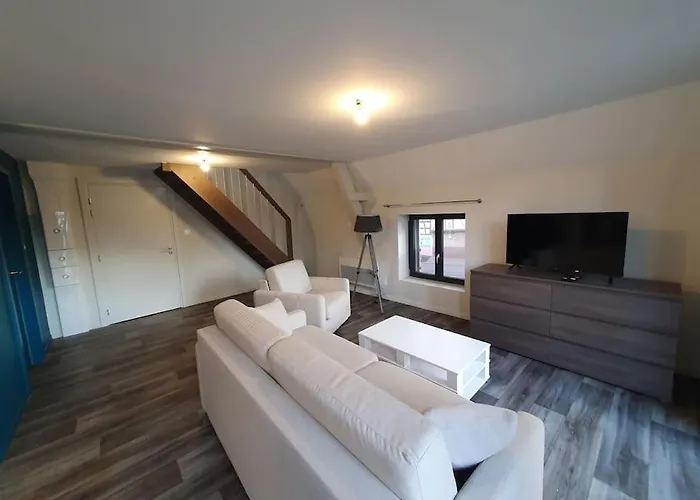 2 Pieces Confort, Aux Portes De Colmar Andolsheim